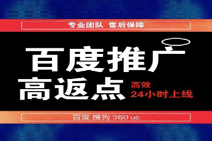 成功SEM服务案例分析报告
