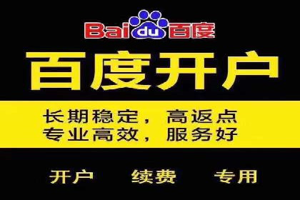 百度联盟营销：案例分享如何实现精准广告投放